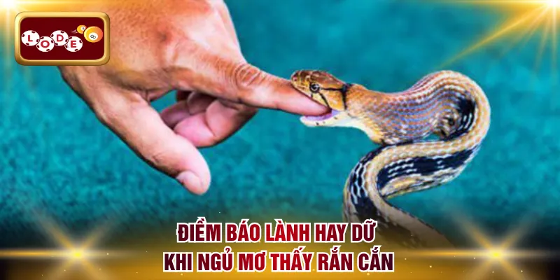 Điềm báo lành hay dữ khi ngủ mơ thấy rắn cắn