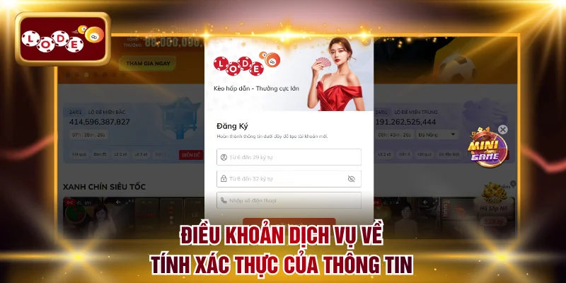 Điều khoản dịch vụ về tính xác thực của thông tin