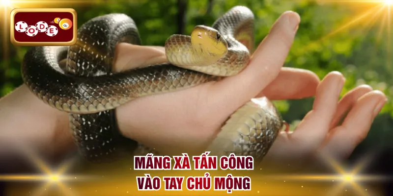 Mãng xà tấn công vào tay chủ mộng 