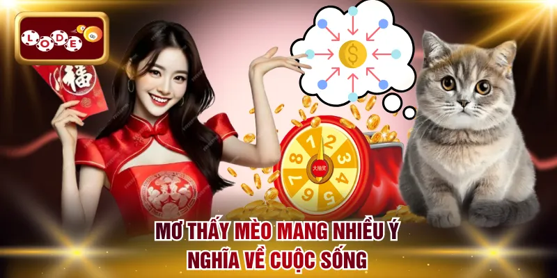 Mơ thấy mèo mang nhiều ý nghĩa về cuộc sống