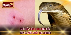 Mơ thấy rắn cắn