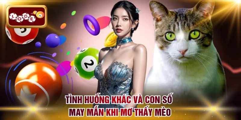 Tình huống khác và con số may mắn khi mơ thấy mèo